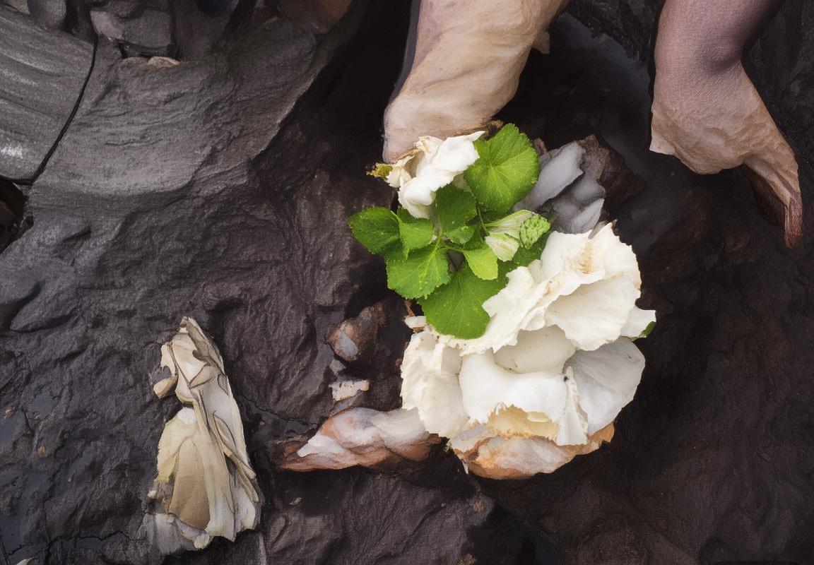 弗格传奇：从平凡到卓越的奋斗人生(图2)